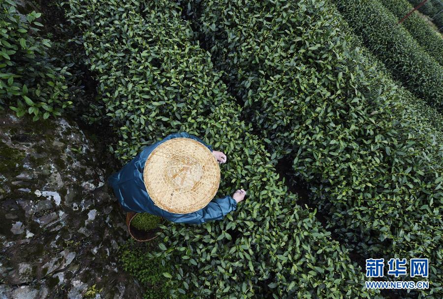 【吃瓜资源】危险办理需求添加 私募多财物战略火了