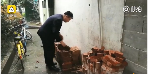 【在线吃瓜txt电子书下载地址】薏米可以和绿豆一起煮吗